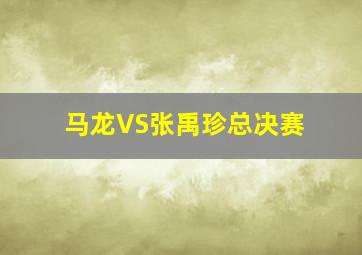 马龙VS张禹珍总决赛