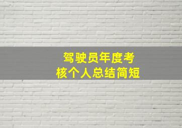 驾驶员年度考核个人总结简短