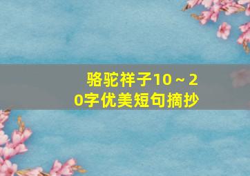 骆驼祥子10～20字优美短句摘抄