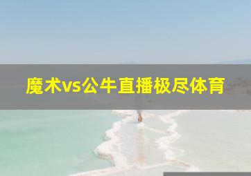 魔术vs公牛直播极尽体育