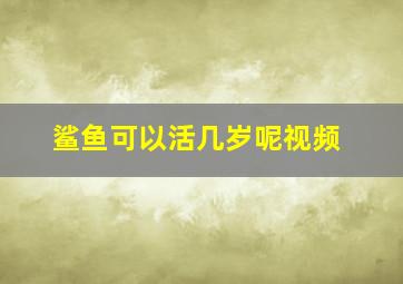 鲨鱼可以活几岁呢视频