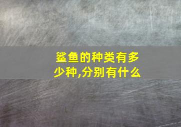 鲨鱼的种类有多少种,分别有什么