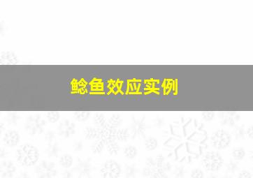 鲶鱼效应实例