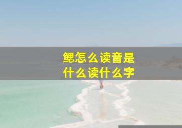 鳃怎么读音是什么读什么字