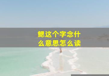 鳃这个字念什么意思怎么读