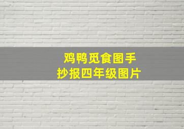 鸡鸭觅食图手抄报四年级图片