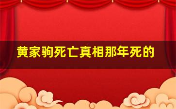 黄家驹死亡真相那年死的