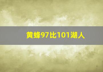 黄蜂97比101湖人