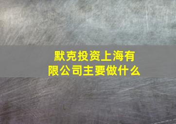 默克投资上海有限公司主要做什么