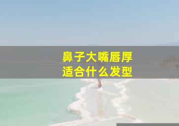 鼻子大嘴唇厚适合什么发型