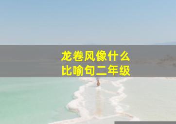 龙卷风像什么比喻句二年级