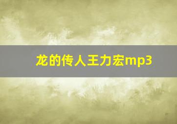 龙的传人王力宏mp3