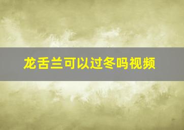 龙舌兰可以过冬吗视频